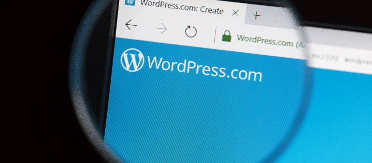 Can I just change the theme on my WordPress site?