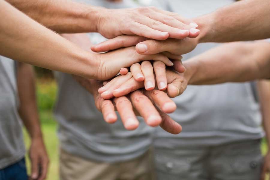 Non-Profit